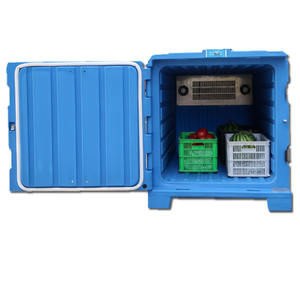 Nevera Portátil para Camioneta 12V KingClima 120kg con 1 Año de Garantía para Tiendas de Cosméticos Pop-up - Product Image 1