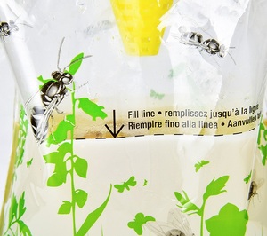 Recyclable <span class=keywords><strong>Pas</strong></span> <span class=keywords><strong>Cher</strong></span> Suspendu Leurre <span class=keywords><strong>Sac</strong></span> Abeille Guêpe Mouche Pièges Fly Catcher Jetable Mouche Fruit Piège <span class=keywords><strong>Sac</strong></span> - Product Image 6