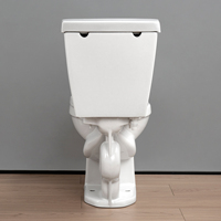 WC monté au sol placard à eau lavabo salle de bain deux pièces cuvette de toilette piédestal évier ensemble de toilette