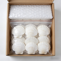 Décoration artisanale sur le thème de l'océan - Projet DIY de coquillages réalistes de 7-8 cm pour cadeaux de Noël