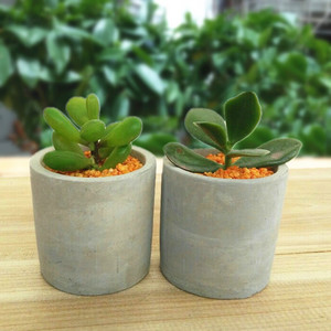 Pot de fleur de Cactus en <span class=keywords><strong>ciment</strong></span>, cylindre de béton gris bon marché avec plateau - Product Image 2
