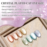 Vernis Gel Magnétique Effet Œil de Chat Brillant Scintillant Effet Verre pour Nail Art Style Français DIY Vente en Gros OEM