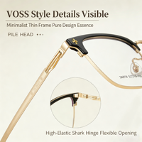 34819 Montures de lunettes pour hommes de luxe haut de gamme en alliage de la marque VOSS