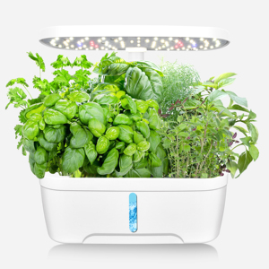 Kits de système de culture hydroponique 6 pods Petit <span class=keywords><strong>jardin</strong></span> intérieur dans la cuisine lampes de culture hydroponiques à led - Product Image 2