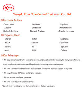 Convertisseur I/P pour vanne de régulation Samon 6111, accessoires pour vanne de régulation de pression Samson - Product Image 6