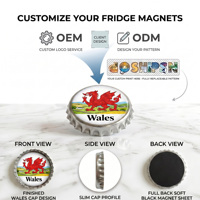 Aimant de réfrigérateur personnalisable avec ouvre-bouteille, motif dragon du Pays de Galles, Cardiff, aimant souvenir