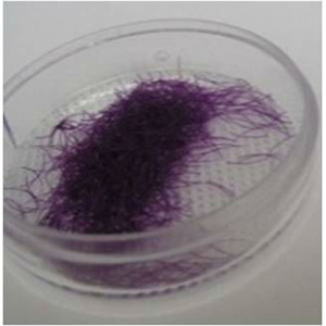 Corea del Sur-pestañas postizas autoadhesivas hechas a mano, extensiones de pestañas con volumen 3d - Product Image 6