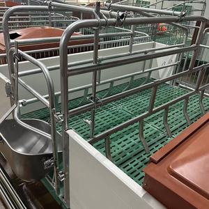 Nuova Gabbia di Parto Tipo H per Suini, Gabbia di Svezzamento in Acciaio al Carbonio Q235, Attrezzatura Agricola con 1 Anno di Garanzia, Modello A62 - Product Image 2