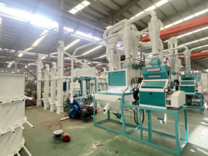 เครื่องโม่ข้าวโพด/ข้าวโพดแบบ10t-500tpd ใช้ทุกวันเครื่องโม่แป้งข้าวโพดประสิทธิภาพสูง - Product Image 2