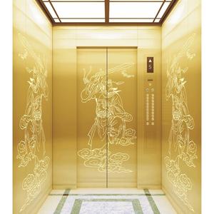 Ascenseur hydraulique pour passagers au design moderne pour intérieur/extérieur, maisons et villas, hôtels Otis - Product Image 2