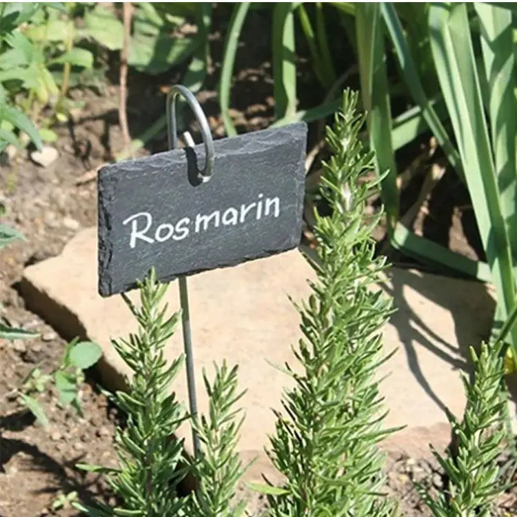 Waterdichte Tuindecoratie Leisteen Label Plant Marker Natuursteen Tuin Labels Met Metalen Haak Spiraal Paal Tuinman Cadeau