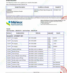 FocusHerb - Extracto de Riñón Bovino de Alimentación Natural, Polvo de Riñón de Res Puro, Venta al por Mayor en Almacén de EE. UU. - Product Image 6