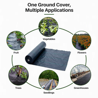 Rouleau de toile de paillage noire tissée, tapis anti-herbe, tissu paysager pour la lutte contre les adventices dans les vergers, les pépinières et les terres agricoles