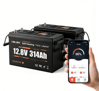 Batterie LiFePO4 Enlzh à décharge profonde 12V 314AH avec Bluetooth et auto-chauffage, rechargeable, pour camping-car (US, EU, CA, AU, JP, DE)