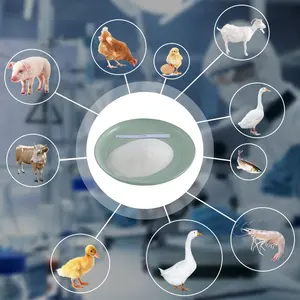 Additifs de qualité supérieure pour l'alimentation animale, vitamine D3 500 000 UI/G, de qualité alimentaire, provenant d'une usine chinoise, CAS 67-97-0, pour la volaille et les aliments pour volaille - Product Image 1