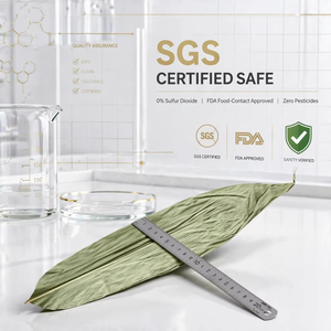 <span class=keywords><strong>Feuilles</strong></span> <span class=keywords><strong>de</strong></span> <span class=keywords><strong>bambou</strong></span> <span class=keywords><strong>séchées</strong></span> naturelles pour Zongzi - Qualité alimentaire et <span class=keywords><strong>feuilles</strong></span> <span class=keywords><strong>de</strong></span> <span class=keywords><strong>bambou</strong></span> professionnelles pour riz collant - Vente en gros - Product Image 4