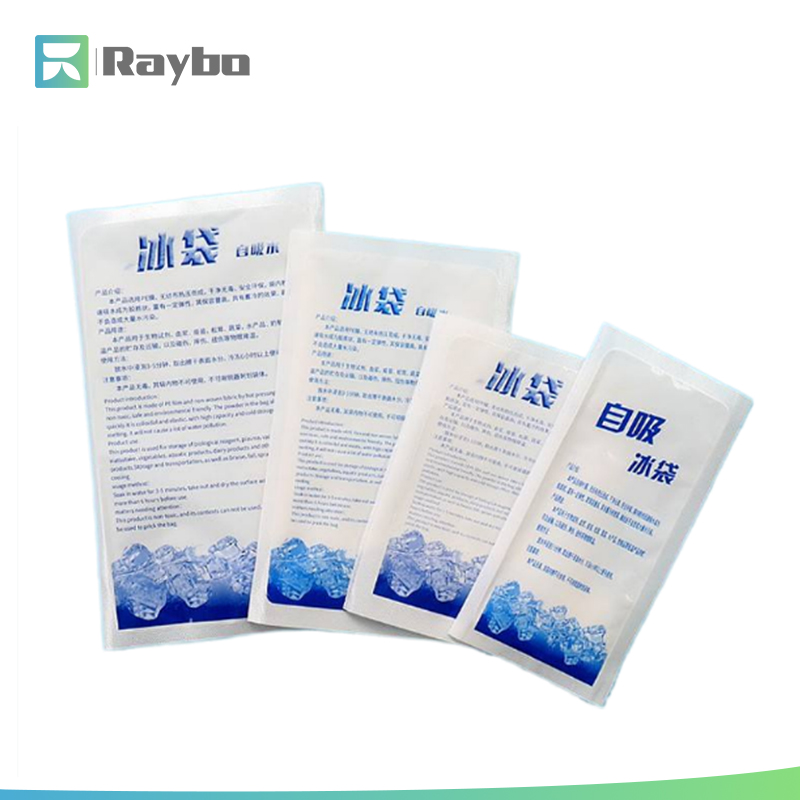 RAYBO Gel Ice Packs for Storage Shipping Frozen Food Mini Gel Ice Pack