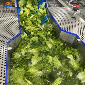 Máquina Procesadora de Frutas y Verduras, Línea de Lavado y Secado de Lechuga para Plantas de Procesamiento de Vegetales a Gran Escala - Product Image 3