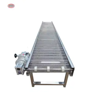 Conveyor Machine Stainless Steel Mesh Belt Conveyor Vegetable Fruit Washing Machine