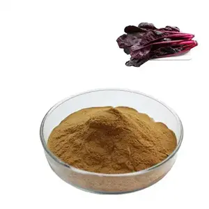 Hochwertiges Gemüse ergänzungs mittel Natürliches frisches trockenes rotes Spinat pulver