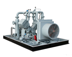 Compresseur à vis sans huile antidéflagrant pour oxygène, compresseur de process industriel, performance stable, compresseur d'air fixe pour oxygène - Product Image 1