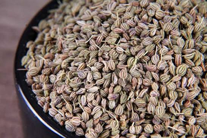 Graines de cumin de qualité supérieure Ajwain, épice entière naturelle de qualité alimentaire, en vrac, par les exportateurs indiens - Product Image 2