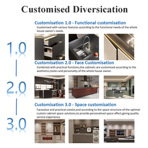 BAINENG organizzazione di stoccaggio di vestiti per lavanderia personalizzati in acciaio inossidabile progetta armadietti e vanità del bagno della lavanderia - Product Image 5