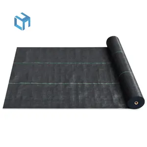 Buen precio barrera de malezas PP cubierta de suelo tejida alfombra de malezas jardinería paisaje tela Shandong gran fabricante