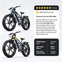 48V20AH 750W Electric Fat Tire Chopper Touring Motorcycle
