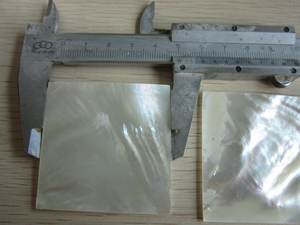 Trắng Pinctada Maxima lau vỏ khoảng trống đối với trang sức làm - Product Image 6