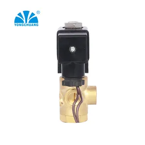 YONGCHUANG YCG41 CE Approved Direct Acting 3 Way Air Water Solenoid Valve 24v For Autoclave General Use