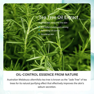 Tea Tree Ácido salicílico Cuidado DE LA PIEL coreano Crema para eliminar el acné Facial Anti Acné Juego DE CUIDADO DE LA PIEL antienvejecimiento - Product Image 4