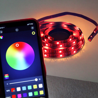 Kit de Bande LED PVC Étanche Flexible RVB Néon, Contrôle via Application Intelligente et USB, Taille Personnalisable, Indice de Protection IP44, pour Aménagement Paysager