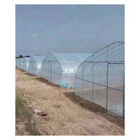 Couvercle en plastique 6m x 10m Mini serre intérieure