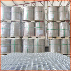 אלקטרו חם טבל מגולוון מרותך רשת תיל מרותכת לוחות גדר רשת עבור יישומים בנייה - Product Image 3