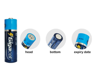 Piles alcalines premium 1,5 V, piles mini Stilo et Stilo de qualité supérieure pour télécommandes, calculatrices, balances