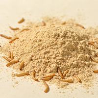 Poudre de vers de farine dégraissés en vrac, protéine d'insectes pour l'alimentation des poulets, nourriture pour poissons d'aquarium, nourriture pour oiseaux, friandises pour animaux de compagnie, compléments alimentaires