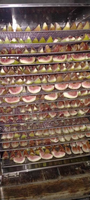 Industriële fruit- en groentedroger, 600L capaciteit, motor aangedreven, food grade roestvrij staal, PLC-gestuurd, hetelucht droging
