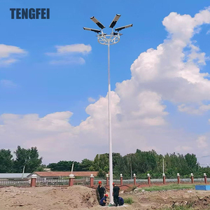 Tengfei nhà máy giá chất lượng cao tùy chỉnh LED năng lượng mặt trời cao cột cực đèn - Product Image 5