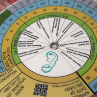 Calendrier de prédiction de la fertilité portable à 2 roues en PVC pour la santé, la grossesse et l'ovulation, destiné aux mamans, aux femmes et aux patients