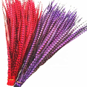 Plumas de faisán Lady Amherst para carnavales - Product Image 5