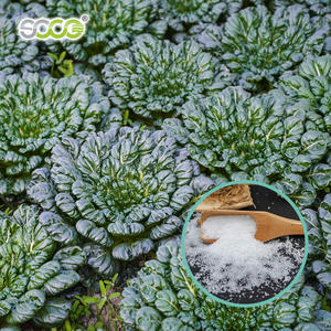 Tarım polimer toprak sabitleyici için bitkiler Soco polimer süper emici polimer için koruma kuraklık - Product Image 3