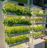 Usine de culture hydroponique verticale intérieure pour la production de salades, la culture de fraises, système hydroponique pour laitues sans pesticides