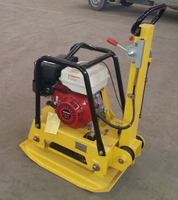 Moteur Loncin à poussée manuelle Compacteur à plaques vibrantes à essence/diesel Compacteur à plaques réversible à vendre