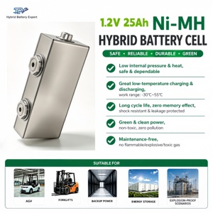 Approvisionnement direct usine TEV – Batteries Ni-MH neuves, écologiques et sûres 1,2 V 25 Ah, durée de vie >6000 cycles, 778 g, idéales pour l'alimentation des chariots élévateurs - Product Image 1