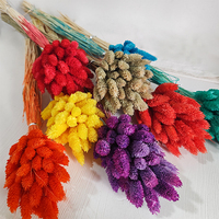 Yunnan gros coloré immortel gemme herbe préservée fleurs et plantes pour Arrangement de fleurs décoration Bouquet faisant