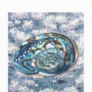 Conchas de Abulón Naturales Ecológicas al Mejor Precio, Estilo Náutico Animal, Decoración del Hogar, Regalo de Boda, Directamente del Número Uno de Vietnam - Product Image 3