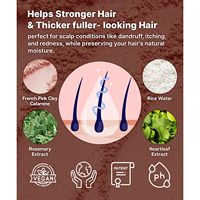 Erigeron 2-IN-1 Sampo Batang Herbal Organik Vegan Minyak Kelapa Pink Clay Mochi untuk Perawatan Kulit Kepala, Pertumbuhan Rambut, dan Anti Ketombe