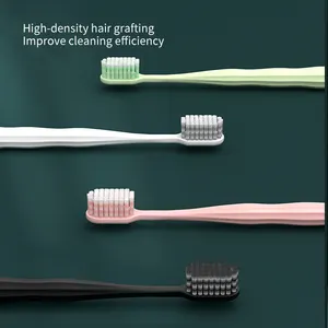 Meilleure vente Home Hotel Supplies Logo personnalisé Emballage individuel Adulte 2 pièces Tête large Soin des gencives Couple Brosse à dents avec poils souples