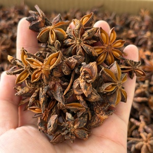 Hochwertiger Getrockneter Roher Ganzer Sternanis aus China Export - Product Image 2